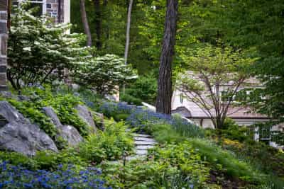 1tMo258mnoiKzfpjzJIw