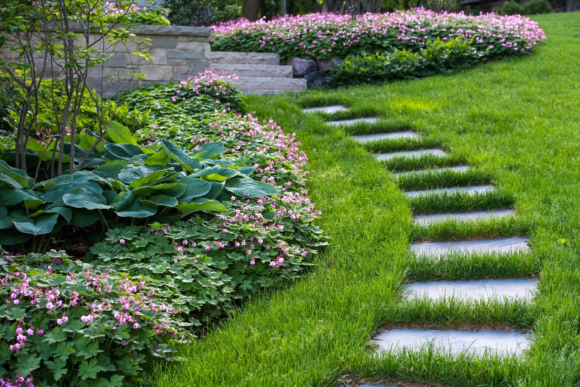 Planting