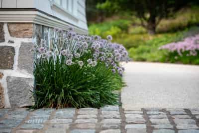 PsHMs1NzL1EepYAgueVj