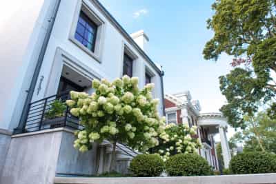 R160fcd8LHpFHObeWcJw