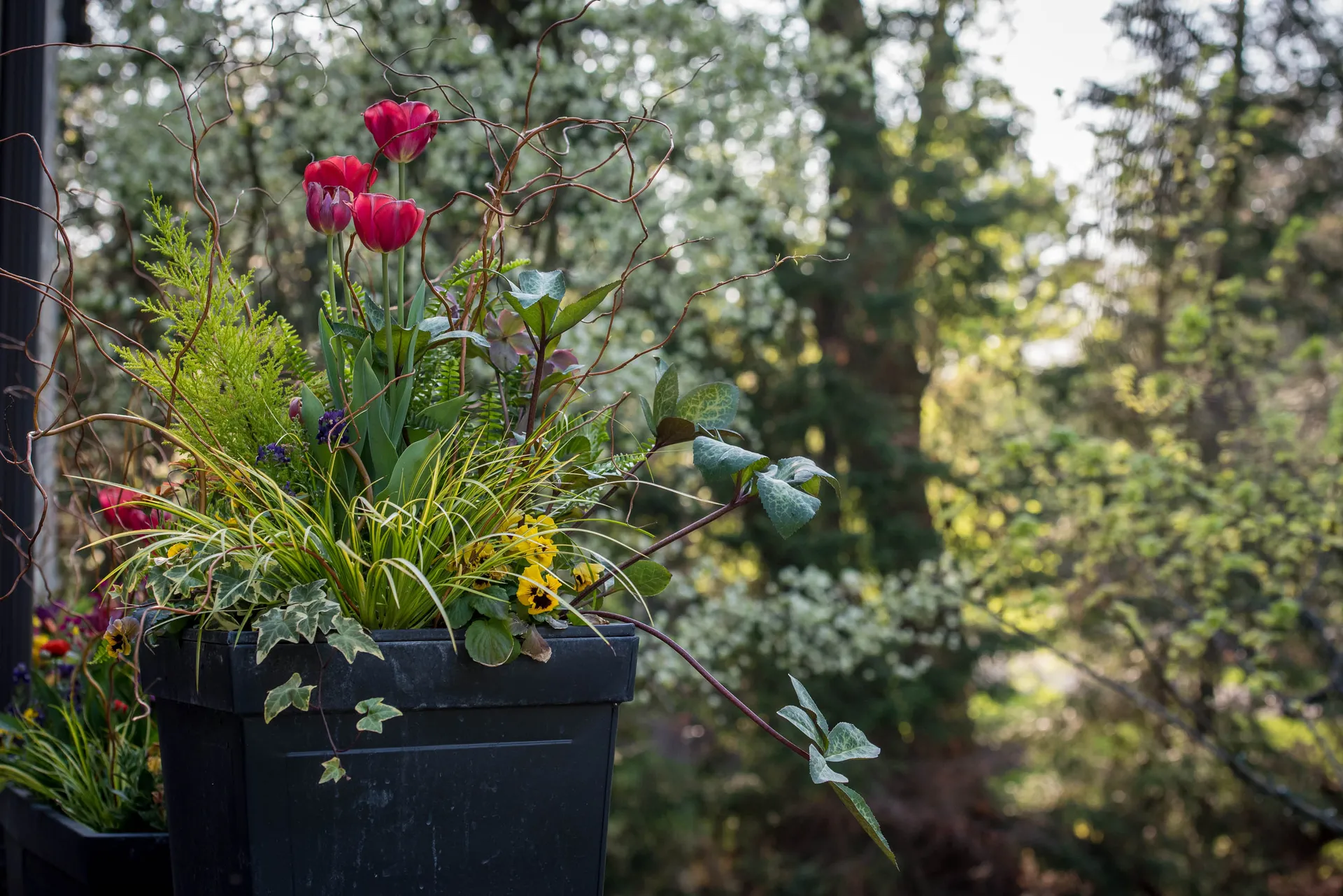 Spring Displays