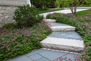 Outdoor Steps