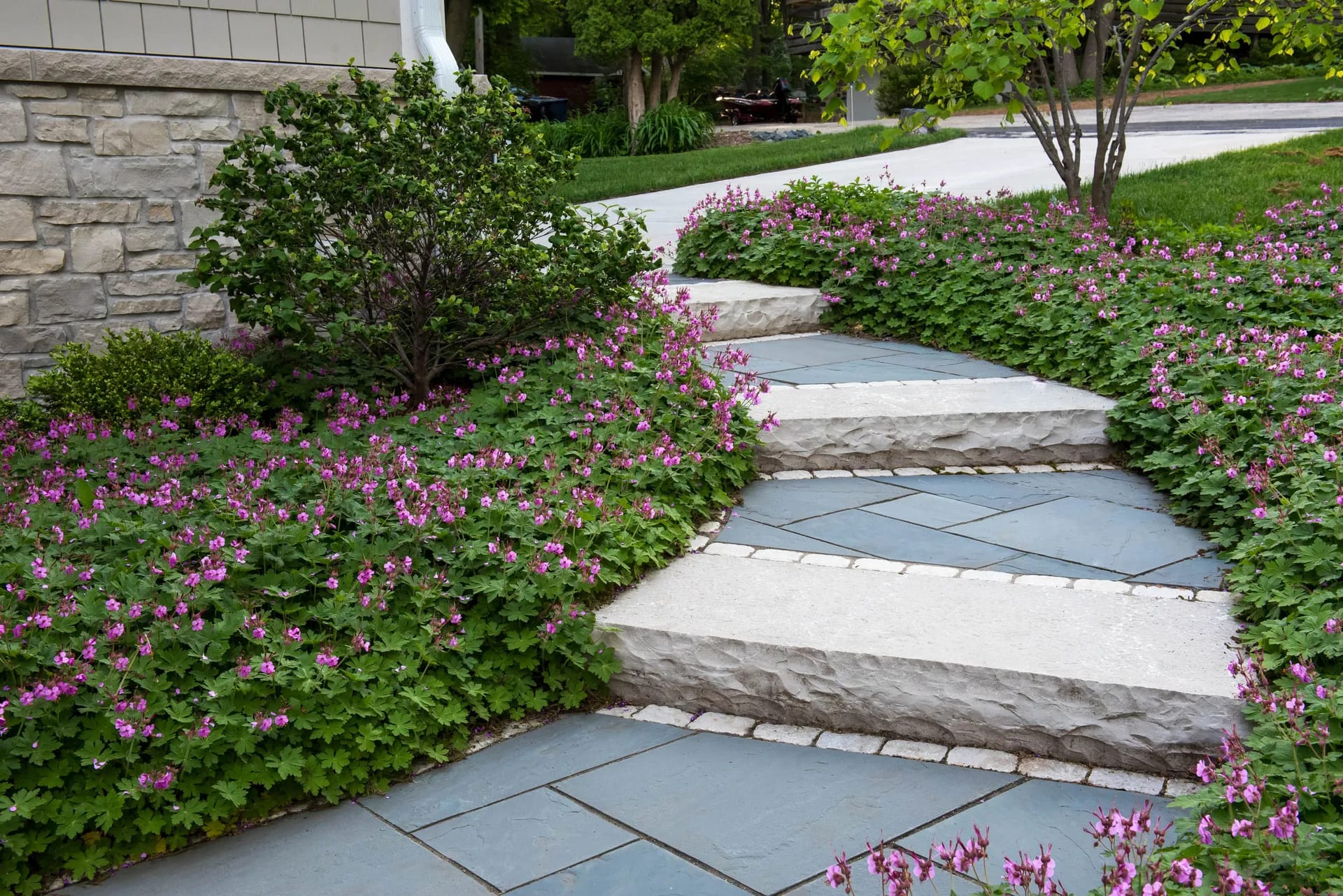 Outdoor Steps
