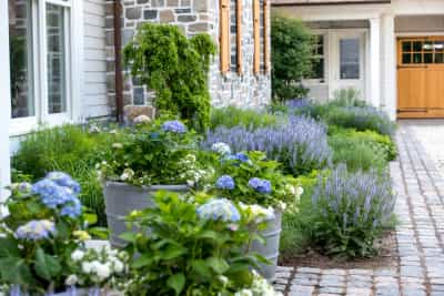 eXQrZLy8Mu6uRmN3JT8d