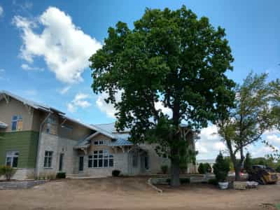 Enduring Works Enduring Presence - LandWorks Landscaping Services