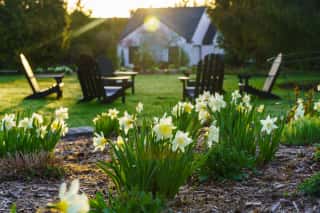 Bulb Planting