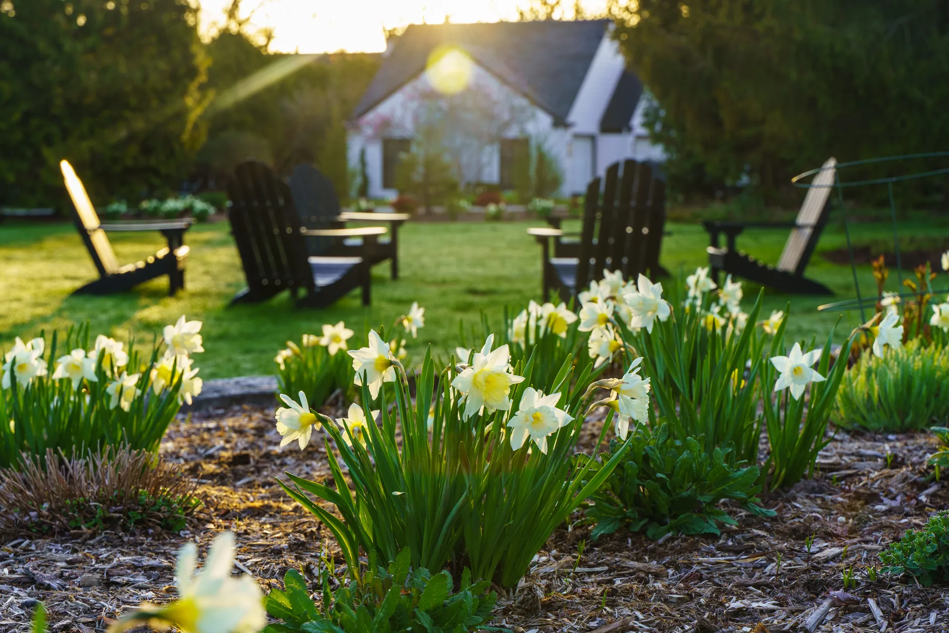 Bulb Planting