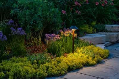 Landscape Lighting