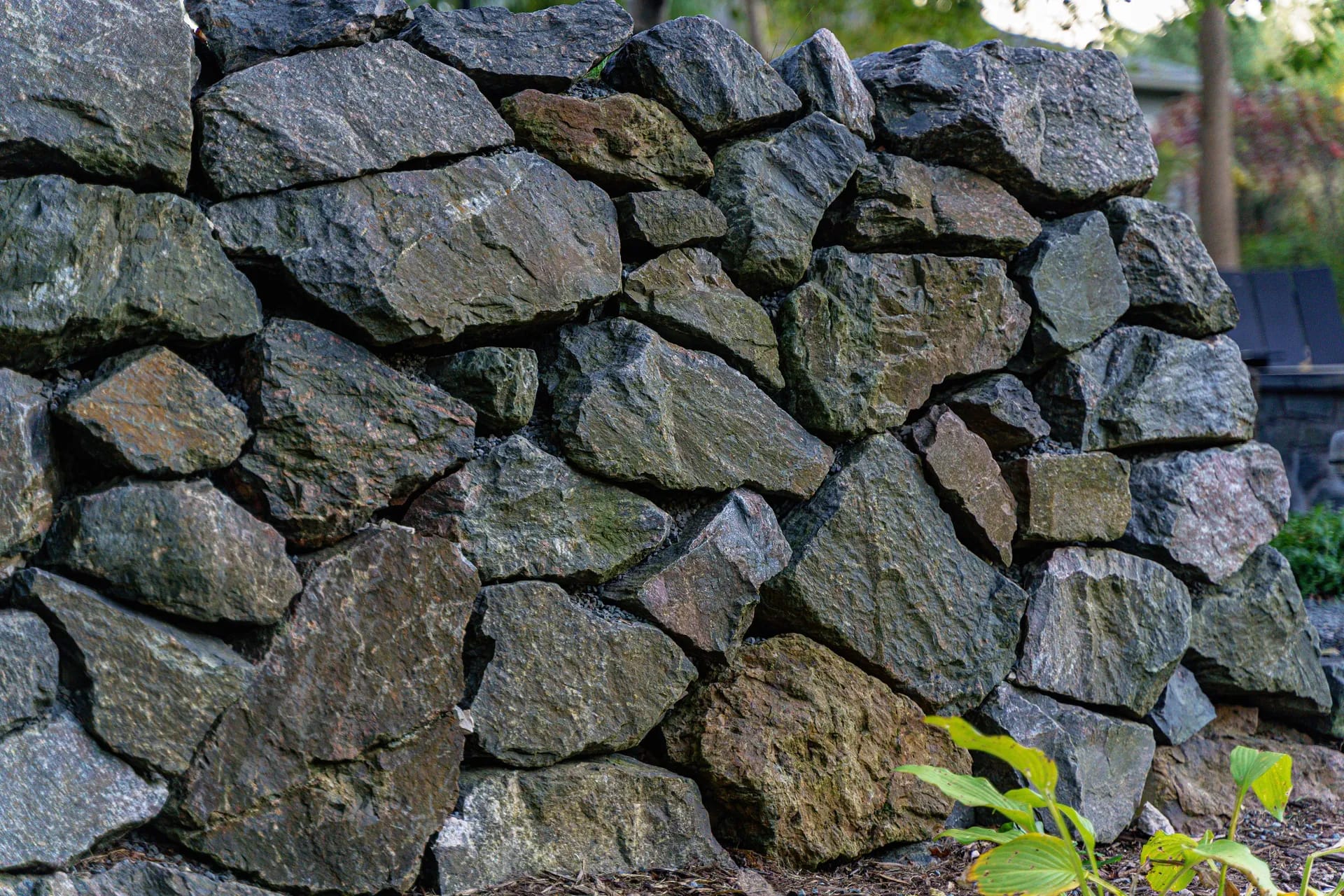 Walls