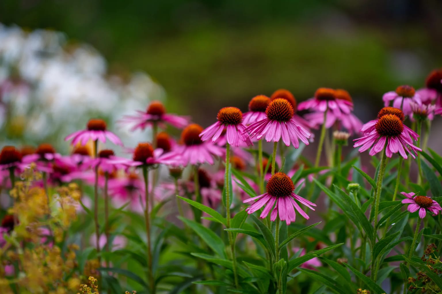 Landscape Happenings: April 2026